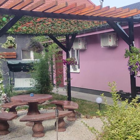Zen Apartmani زرنيانين المظهر الخارجي الصورة