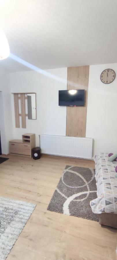Zen Apartmani زرنيانين المظهر الخارجي الصورة