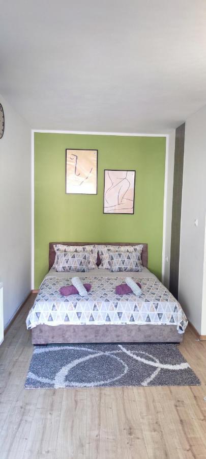 Zen Apartmani زرنيانين المظهر الخارجي الصورة